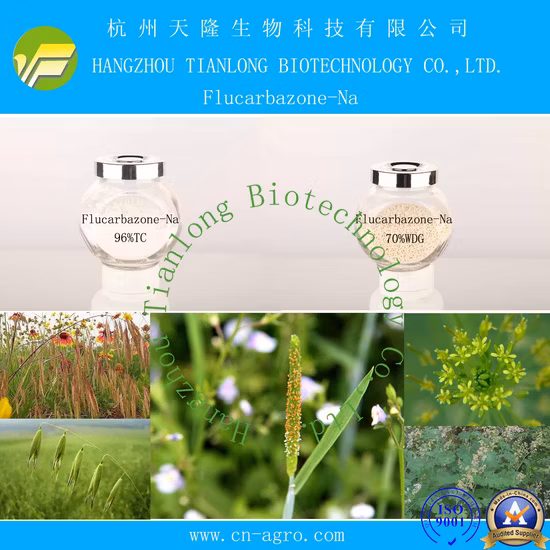T3, Na Depressive Disorders&Fat Loss L-Triiodothyronine CAS 55-06-1 T3 Triiodothyronine